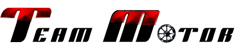 logo teammotor